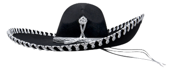 official-logo-website-350x145